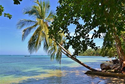 Plage des caraïbes sud - Costa Rica