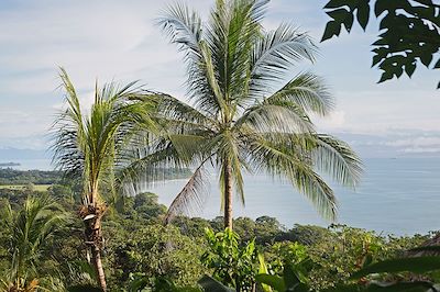 Puerto Jimenez - Péninsule d'Osa - Costa Rica