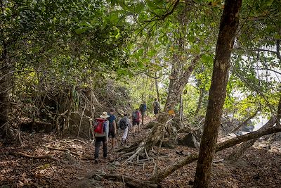 trek dans le parc national du Corcovado - Costa Rica