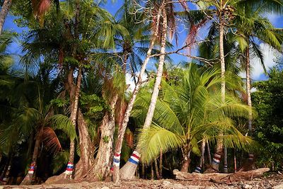 Dominical - Costa Rica