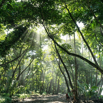 Trek Costa Rica Corcovado