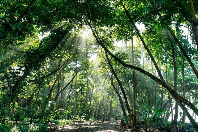 Voyage Trek et immersion nature au Corcovado