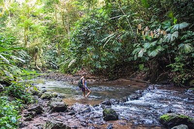 Parc National du Corcovado - Péninsule Osa - Costa Rica