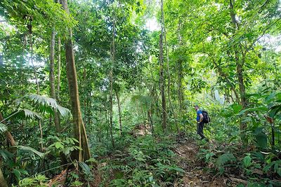 Randonnée dans le parc national du Corcovado - Costa Rica