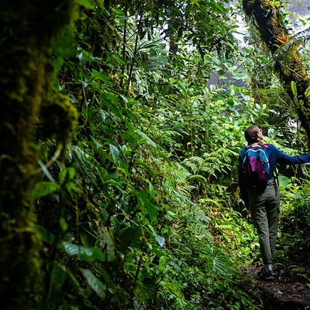 Trek Costa Rica Corcovado