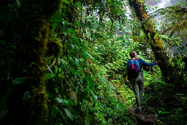 Trek Costa Rica Corcovado