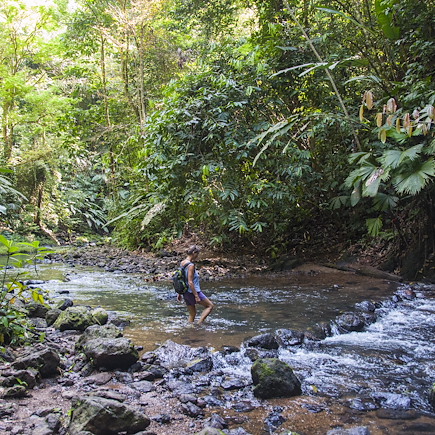 Trek Costa Rica Corcovado