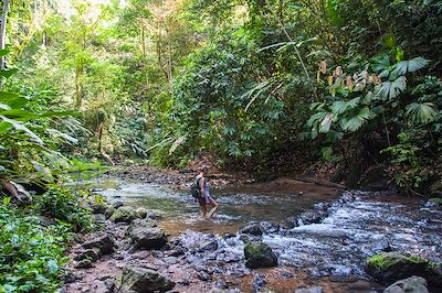 Randonnée - Parc Corcovado - Costa Rica