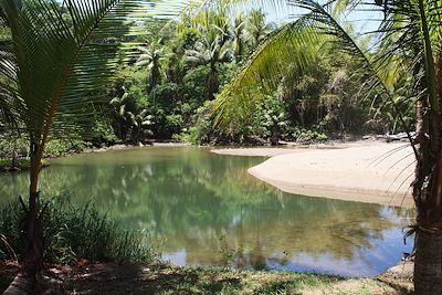 Rio Claro sur la péninsule de Osa dans le parc Corcovado - Costa Rica