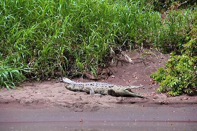 Tortuguero - Costa Rica