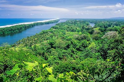 © Javier Fernandez Sanchez / Getty Images - Parc national de Tortuguero - Costa Rica Parc national de Tortuguero - Costa Rica