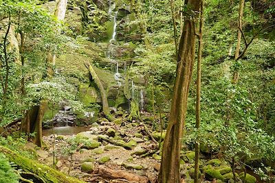 Secteur Las Pailas - Rincon de la Vieja - Costa Rica