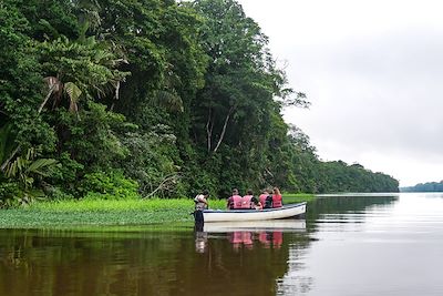 © Juliette de Swarte - Parc national de Tortuguero - Costa Rica Parc national de Tortuguero - Costa Rica