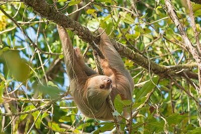 Voyage Nature et sensations fortes au Costa Rica 2