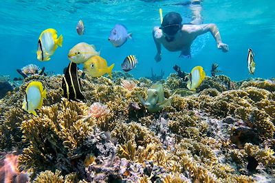 Snorkeling - Costa Rica