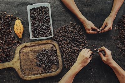 Cacao - Costa Rica
