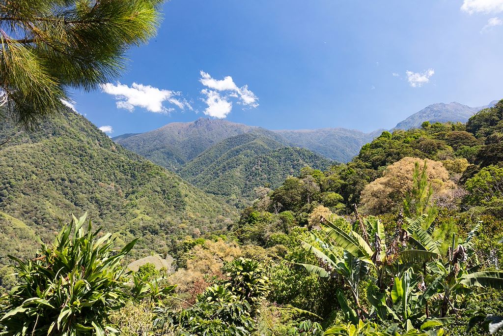 Image Randonnée Corcovado - Trek Talamanca - Aventure humaine