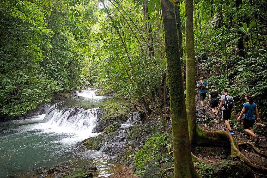 Image Randonnée Corcovado - Trek Talamanca - Aventure humaine
