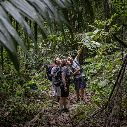 Trek Costa Rica Côte Caraïbe