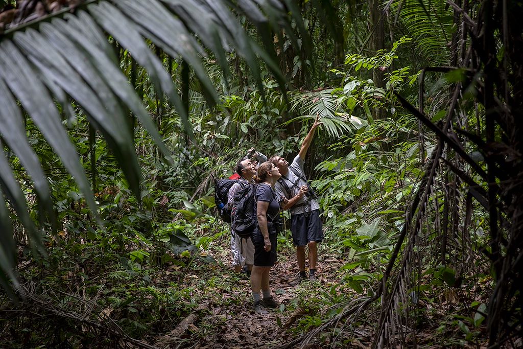 Image Randonnée Corcovado - Trek Talamanca - Aventure humaine