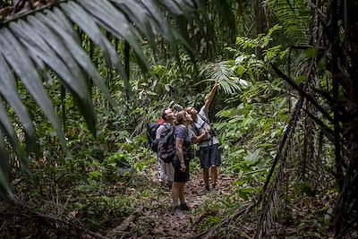 © Julie Ansiau pour Terres d'aventure - Observation animalière dans le parc national du Corcovado Observation animalière dans le parc national du Corcovado
