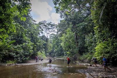 passage d'un gué dans le parc national du Corcovado - Costa Rica