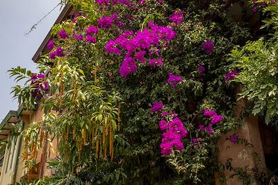© Julie Ansiau pour Terres d'aventure - San jose San jose