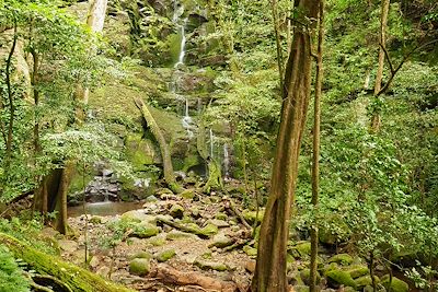 Secteur Las Pailas - Rincon de la Vieja - Costa Rica
