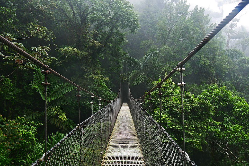 Image Costa Rica en VTT électrique - Volcan Arenal – Excursion en bateau sur le Río San Carlos