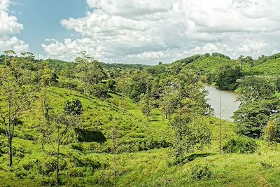 Boca Tapada - Rio San Carlos - Costa Rica