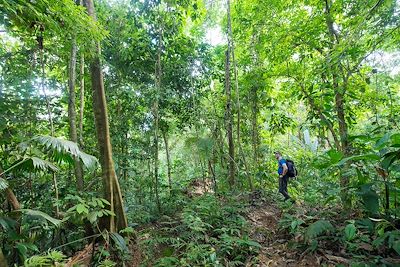 © Christophe Migeon - Randonnée dans le parc national du Corcovado - Costa Rica Randonnée dans le parc national du Corcovado - Costa Rica