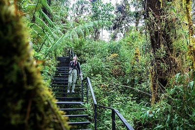 Parc national Los Quetzales - Costa Rica