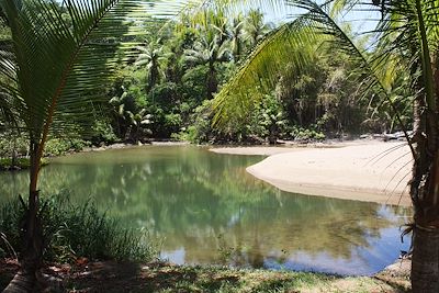 © Mathilde Salmon - Rio Claro sur la péninsule de Osa dans le parc Corcovado - Costa Rica Rio Claro sur la péninsule de Osa dans le parc Corcovado - Costa Rica