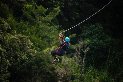 Tyrolienne - Costa Rica