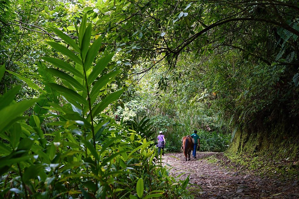 Image Randonnée Los Campesinos - Immersion Communauté Bribri - Découverte Cahuita