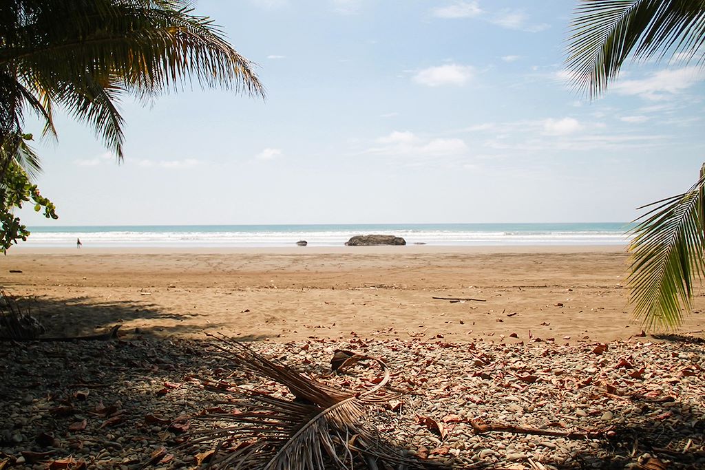 Image Randonnée Los Campesinos - Immersion Communauté Bribri - Découverte Cahuita