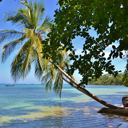 Randonnée Costa Rica Côte Caraïbe