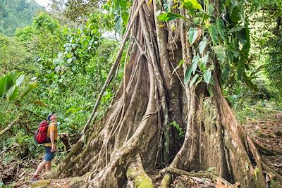 Randonnée vers le parc national de Los Quetzales - Costa Rica