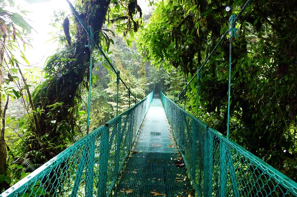 Image Randonnée Tortuguero - Trek Arenal - Forêt Monteverde