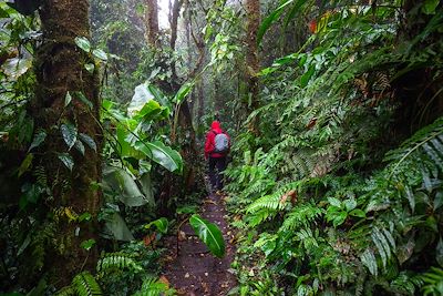 Homme dans la jungle au Costa Rica