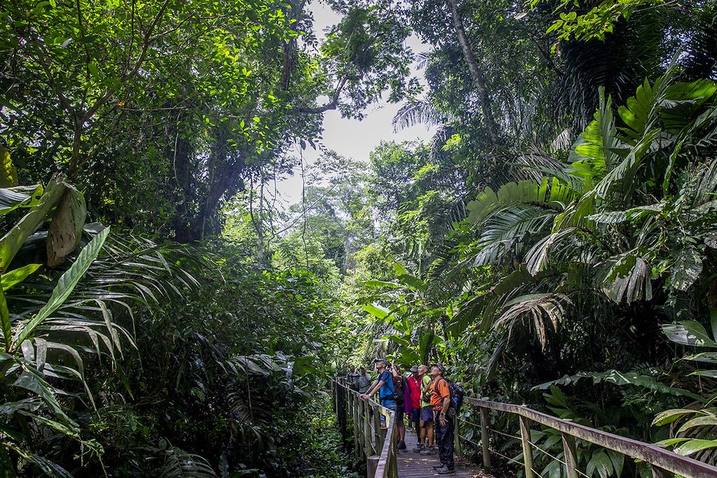 Image Randonnée Tortuguero - Trek Arenal - Forêt Monteverde