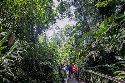 Observation dans le Parque nacional de Cahuita