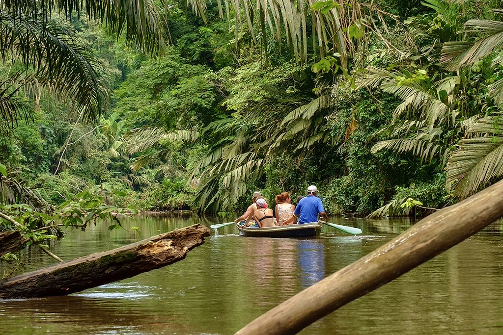 Image Randonnée Tortuguero - Trek Arenal - Forêt Monteverde