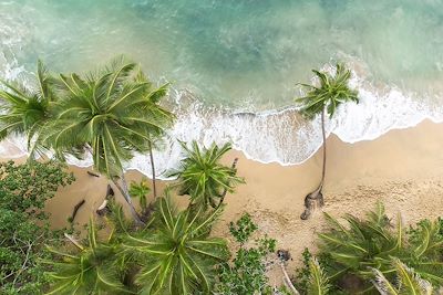Plage de Puerto Viejo - Costa Rica 