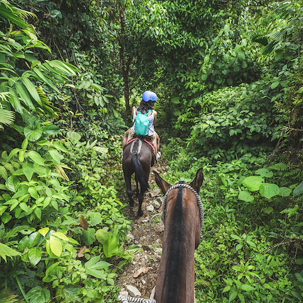 Découverte Costa Rica Côte Pacifique
