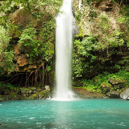 Randonnée Costa Rica Corcovado