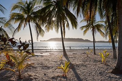 Plage - Costa Rica