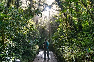Randonnée au Costa Rica