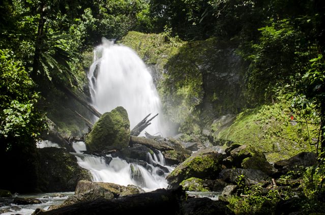 Image Trekking de Los Quetzales au Corcovado