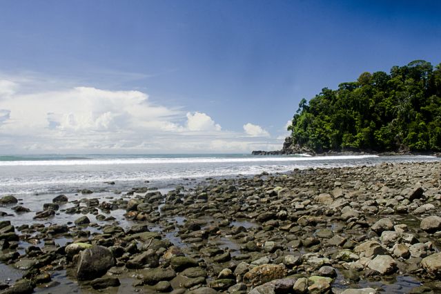 Image Entre volcans et océans, l'or vert du Costa Rica